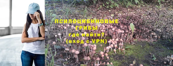герыч Бородино