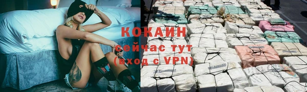 амф Бронницы